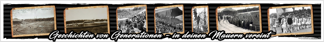 Schal 100 Jahre Donaustadion